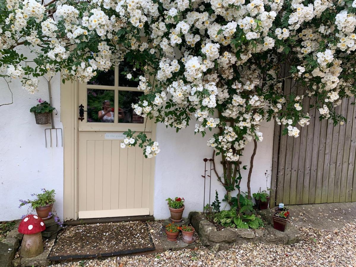 The Piggery At The Cottage Wool Bagian luar foto
